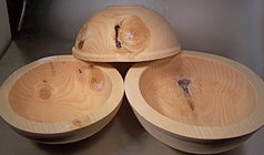 dried White Ash.jpg