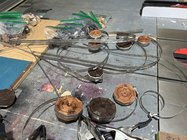 IMG_1621.jpeg