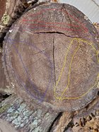 Log Cut Up  pith off center marked up.jpg