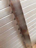 20231031_090623.jpg