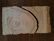 Wind Checked  Firewood Chesnut.jpg