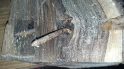 Embedded Screw 510.jpg