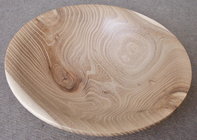 5 Siberian Elm plate.jpg