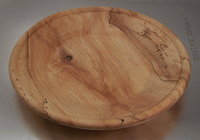 7 Hop hornbeam plate.jpg