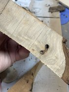 IMG_3323.jpeg