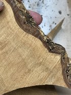 IMG_3324.jpeg IMG_3324.jpeg