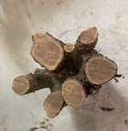 IMG_7741.jpeg