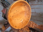 IMG_0978 - Copy.JPG