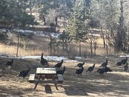 IMG_7329.JPG
