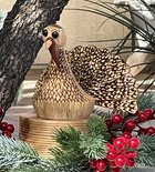 IMG_1336.jpeg