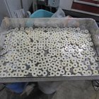 disks drying Nov 23.jpg