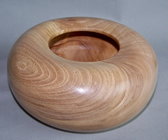 American Elm.jpg