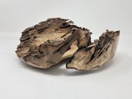 IMG_1106.jpeg