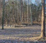 IMG_20231212_080130.jpg IMG_20231212_080130.jpg