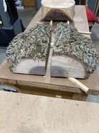 IMG_4850 Medium.jpeg