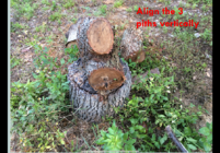 IMG_2022-12-19-181821.png