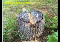 IMG_2022-12-19-181751.png