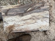 IMG_2690.jpeg