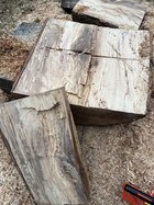 IMG_2688.jpeg