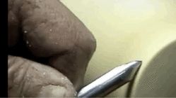 trim.C8C69763-FC2A-4ECF-9A93-A7C9C85638E4.gif