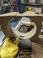 PXL_20240112_040117762.jpg
