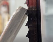 1000004575.jpg 1000004575.jpg