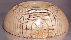 American  Elm.jpg