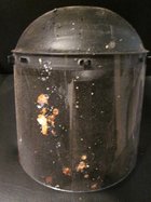 Worms!!!! (2).JPG