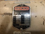 IMG_2243.jpeg