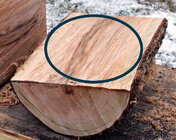 half log.jpg