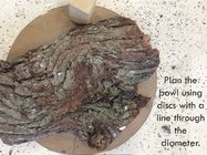 IMG_1042.jpeg