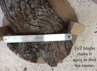 IMG_1043.jpeg