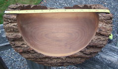it seems like it is oval.jpg