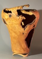 83 Sourwood Rootball Finished.jpg 83 Sourwood Rootball Finished.jpg