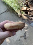 IMG_8840.jpeg