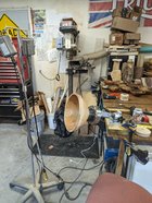 PXL_20240206_173548653.MP.jpg