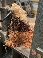 IMG_7503.jpeg