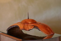 IMG_8387.JPG