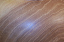 Elm grain.JPG
