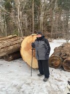Big Ash Log.jpg