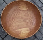 Large Honey Locust.jpg