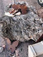 IMG_1657.jpeg