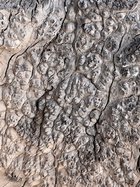 IMG_1654.jpeg