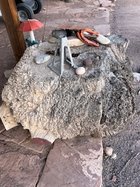 IMG_1653.jpeg
