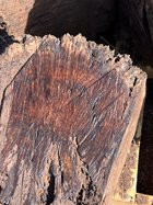 IMG_1693.jpeg