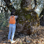 IMG_9885 copy.jpg