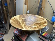 IMG_9759.jpeg IMG_9759.jpeg