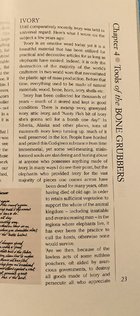 IMG_6819.jpeg