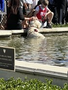 IMG_3293.jpeg