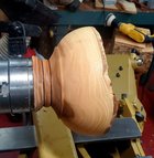 Chinese Elm Live Edge Emerging Bowl.jpg Chinese Elm Live Edge Emerging Bowl.jpg